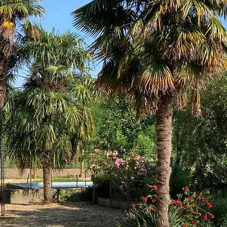 Lauberge De Nogaro *